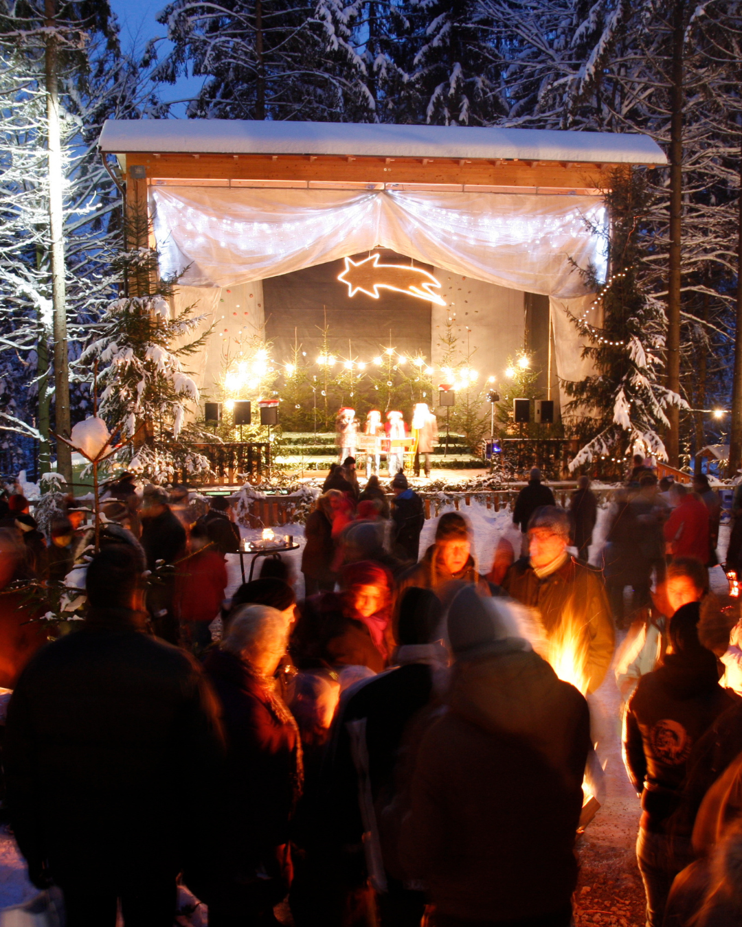 Waldweihnacht Kopfing - Boutique-Hotel Forstinger Schärding